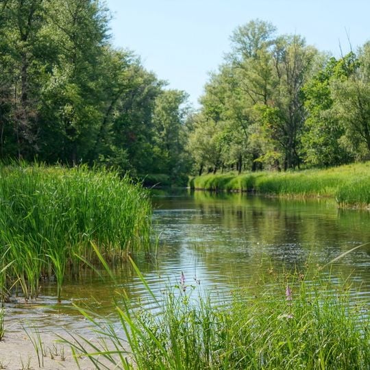 Middle-Volga Integrated