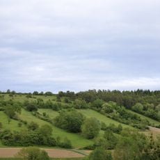 Halbtrockenrasen Ameisloh II