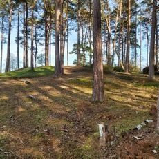 Bowl barrow 180m south east of Forest Cottage