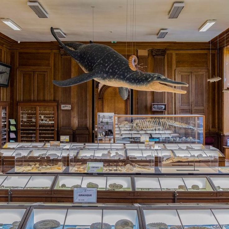 Natural Science Museum