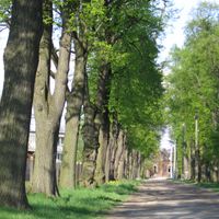 Distrito de Trzebnica