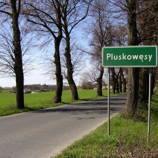 Pluskowęsy, Toruń County