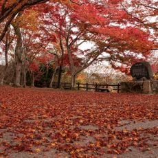 尾関山公園