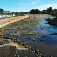 Camp-Creek-weir-Wynyard