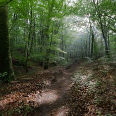Lago di Vico Monte Venere e Monte Fogliano
