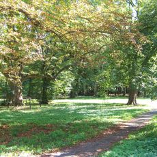 Park pałacowy w Skorogoszczy