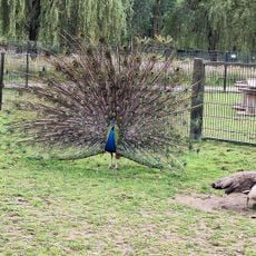 Kinderboerderij Horsterpark