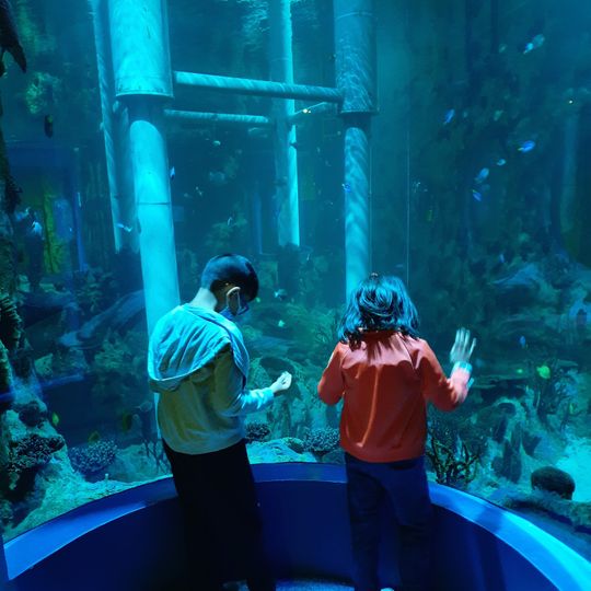 Abu Dhabi History Museum and Aquarium