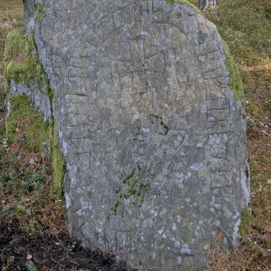 Södermanlands runinskrifter 236