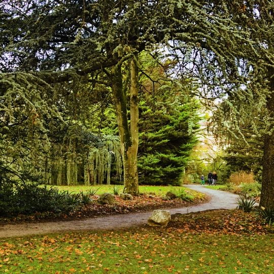 Jardin botanique alpin de Meyrin