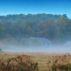 Ruth Zimmerman Natural Area