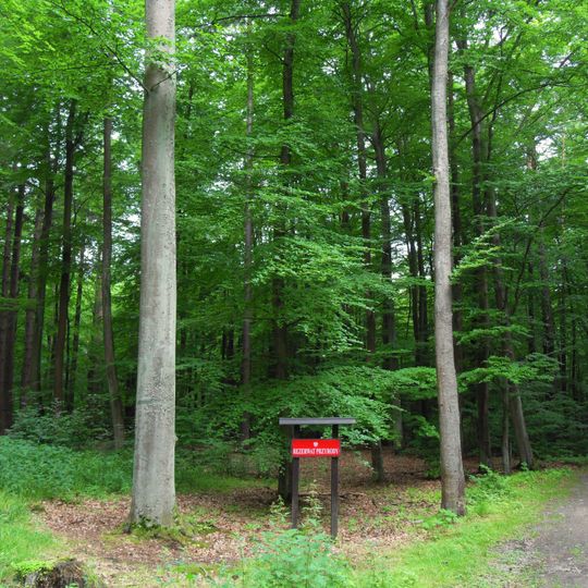 Rezerwat przyrody Wąwóz Huzarów