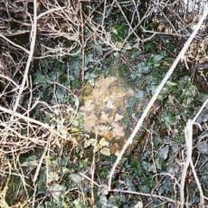 Milestone, S of village, just S of Mare drove