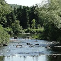 Municipalità regionale della contea di Maskinongé