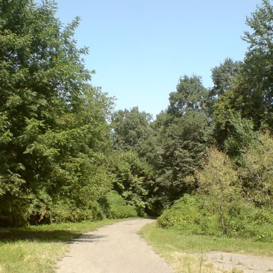 Tashkent botanical garden
