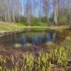 Ilmamäe Spring
