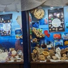 Whale Research EcoExcursions