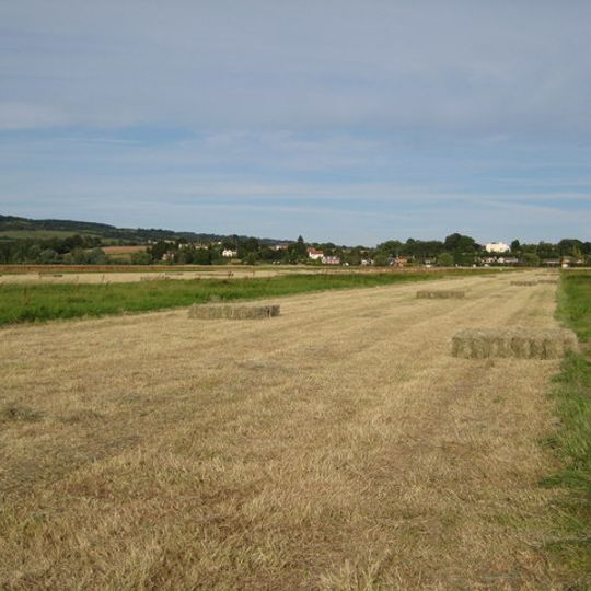Upham Meadow and Summer Leasow
