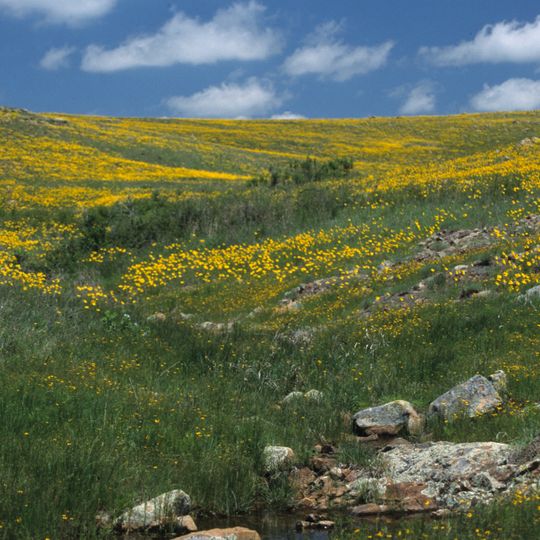 Refuge faunique Wichita Mountains