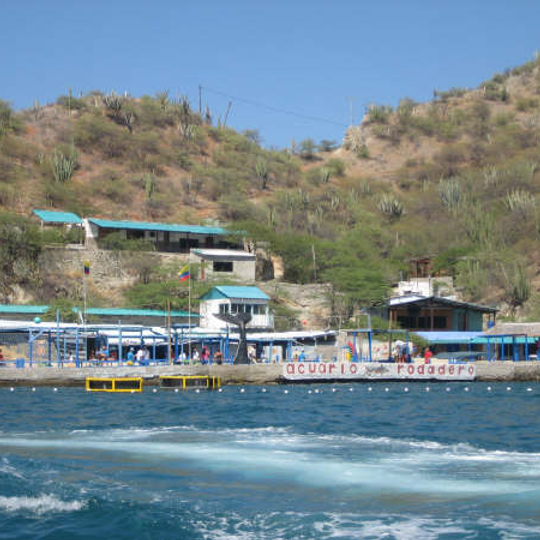Rodadero Sea Aquarium and Museum