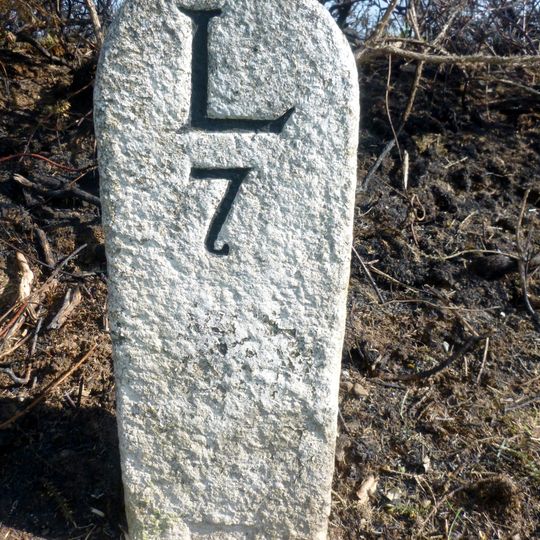 Milestone At Sx231848