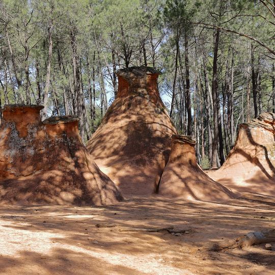 Les Demoiselles Coiffees