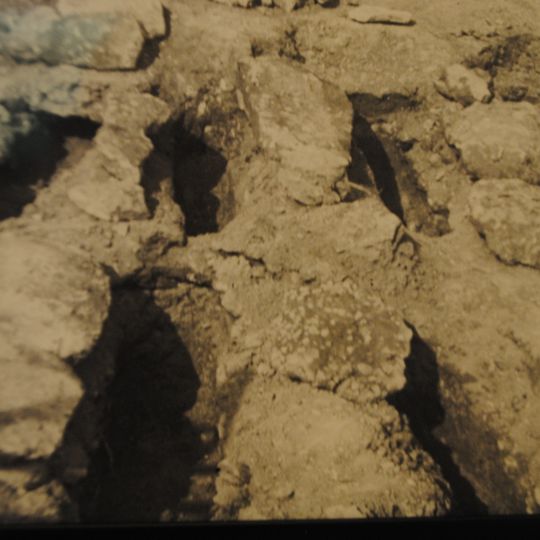 Basílica de Cas Frares