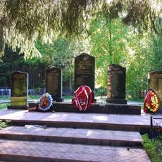 Братское кладбище умерших от голода женщин, детей и стариков, эвакуированных из северных районов Ленинградской области и Ленинграда (Токсово)