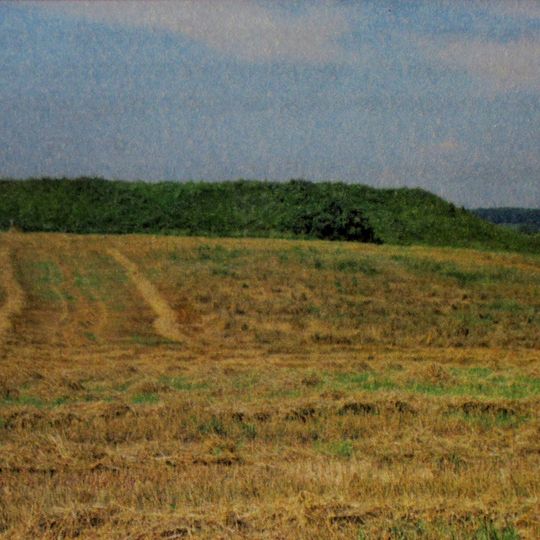 Замкавішча