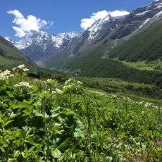 Nationaal park Valley of Flowers
