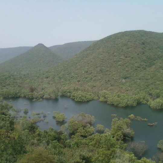 Eastern Highlands moist deciduous forests