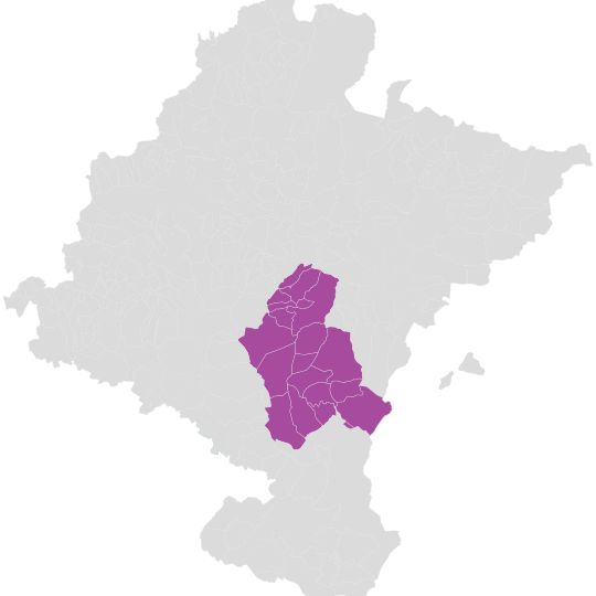 Zona Media-Erdialdea