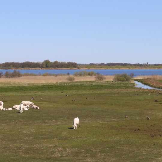 Åsums ängar och Åsumallet