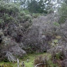 Bothe–Napa Valley State Park
