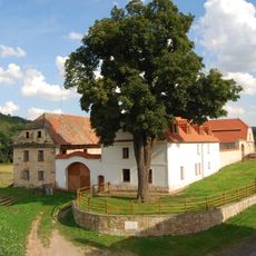 Jírovec u Kleinova statku