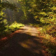 Landschaftsschutzgebiet "Stiftswald und Felsenwege St. Arnual" (L 6708-301)