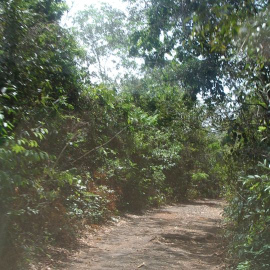 Western Area Forest Reserve