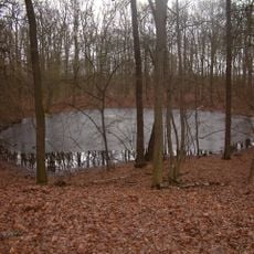 Morasko Meteorite Nature Reserve