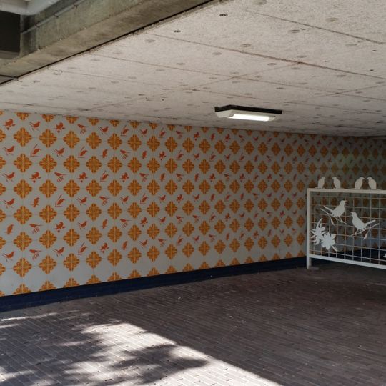 Vogeltjes van Kattenburg