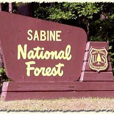 Sabine National Forest