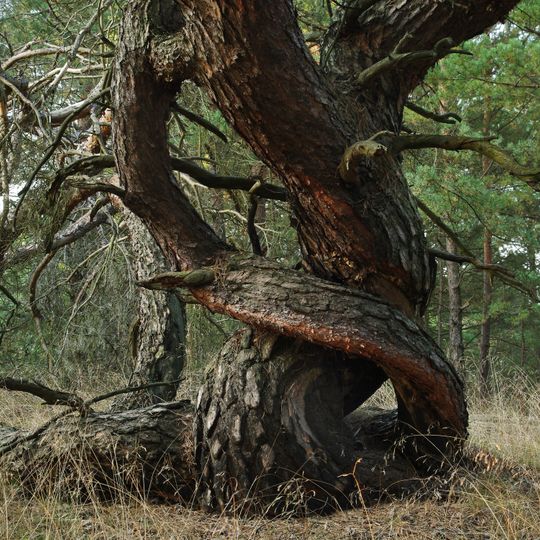 Swatzke und Skabyberge