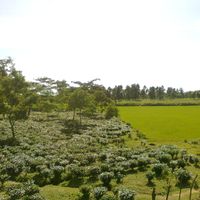 distretto di Goalpara