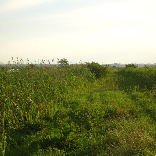 Nature reserve Łąki Ślesińskie