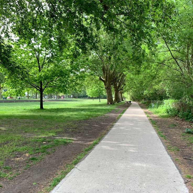 Parc aux Angéliques