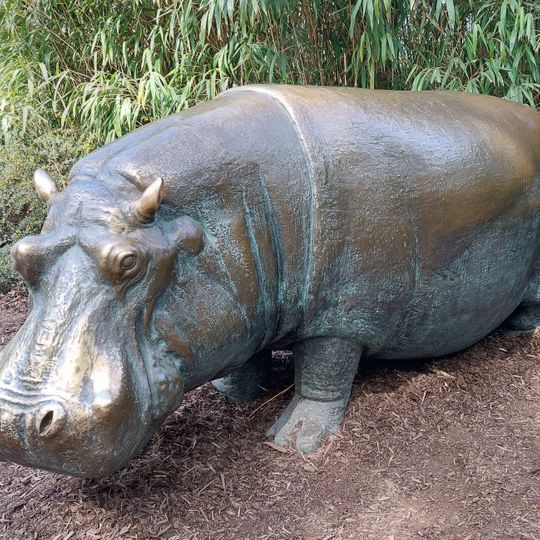 Flusspferdbulle „Knautschke“