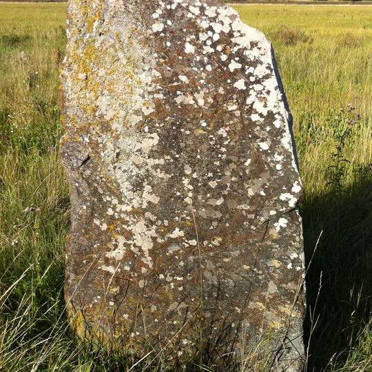 Uppland Runic Inscription 442