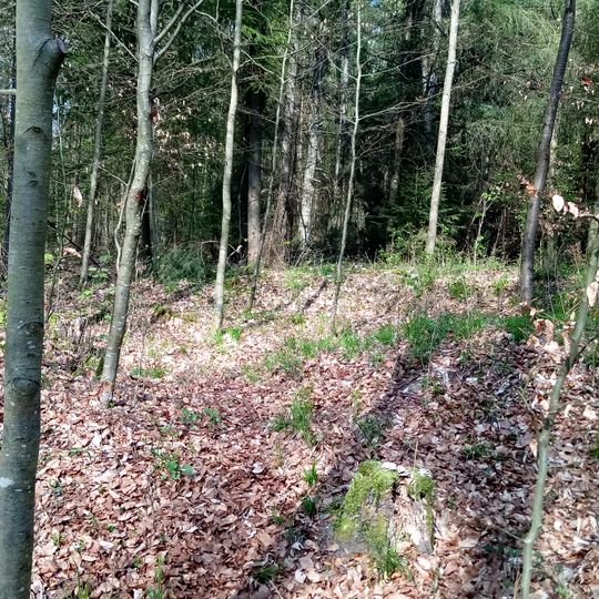 Hergenstadter Wald Roman watchtower