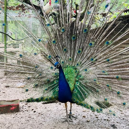Parc Animalier de la Bannie