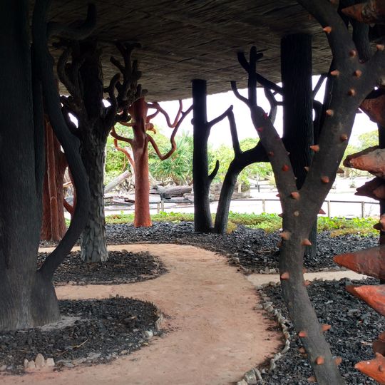 Museu Ecológico Frans Krajcberg