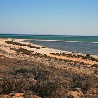 Shark Bay Schutzgebiet